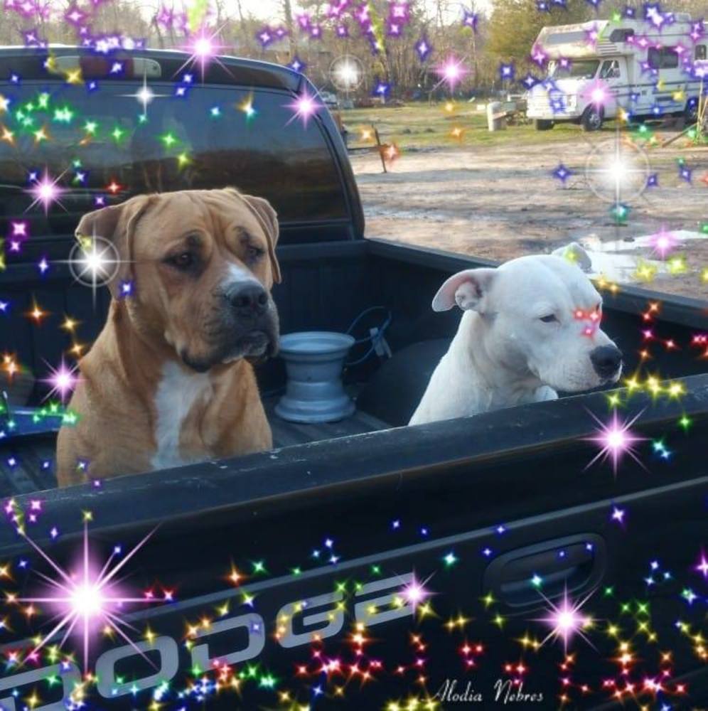 Meet your Posher, Tina